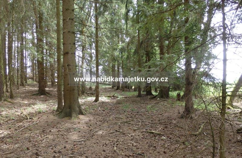 Malý Ježov parc. č. 1304/2, EA č. CTA/074A/2026