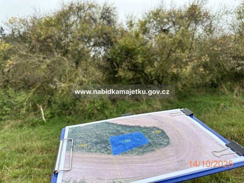 PRODEJ - Želeč u Tábora, KN 1295 - AV č. CTA/073A/2026