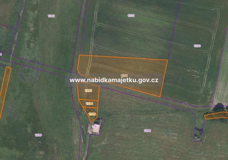 Pacht pozemku p.č. KN 1231 v k.ú.: Ražice