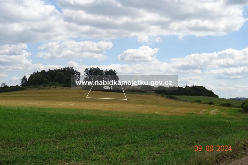 Srby nad Úslavou, pozemek p.č. 425/2, spoluvl. podíl 1/3