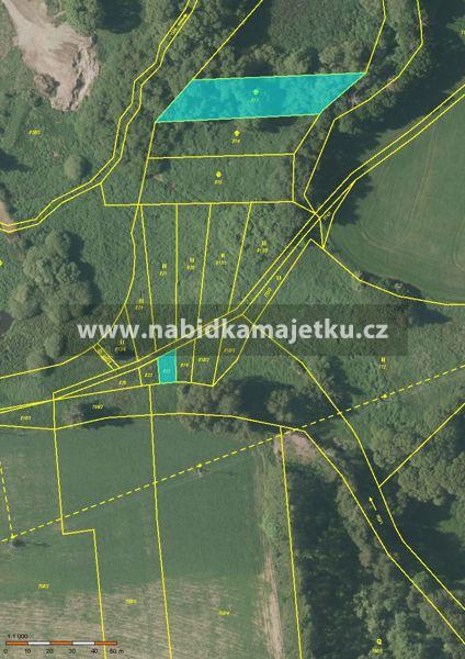 Nepomuk - pozemky p. č. 813 a p. č. 822