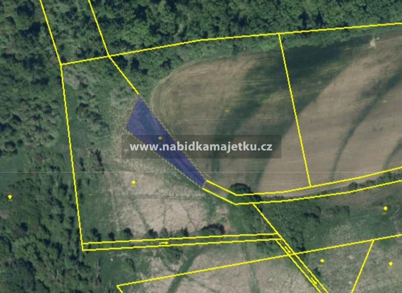 Levonice - p.p.č. 847 (1361 m2) - podíl 2/17