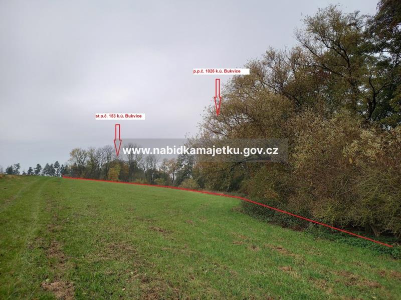 Bukvice - pozemky st.p.č. 153 a p.p.č. 1026 v k.ú. Bukvice