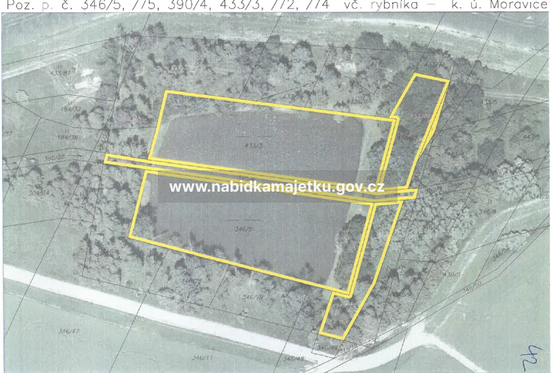 Rybník na pozemcích p. č. 346/5, p. č. 390/4 a p. č. 433/3 a pozemky p. č. 346/75, 433/72 a p. č. 433/74 v k.ú. Moravice
